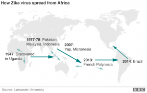How Zika virus spread from Africa